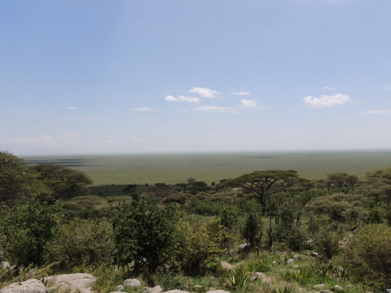 dscn4144.jpg