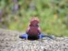 dscn4151_small.jpg