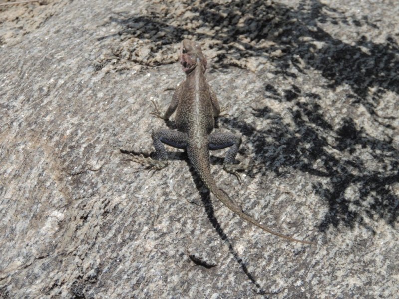 dscn4153.jpg