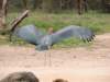 dscn4173_small.jpg