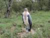 dscn4191_small.jpg