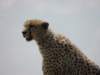 dscn4217_small.jpg