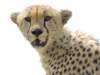 dscn4225_small.jpg