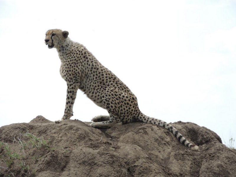 dscn4227.jpg