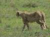 dscn4232_small.jpg
