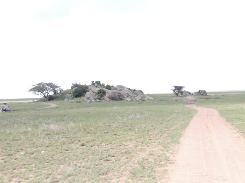 dscn4247.jpg