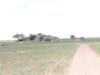 dscn4247_small.jpg