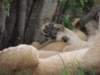 dscn4266_small.jpg