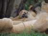 dscn4267_small.jpg
