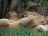 dscn4275_small.jpg