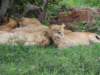 dscn4281_small.jpg