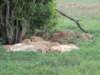 dscn4283_small.jpg