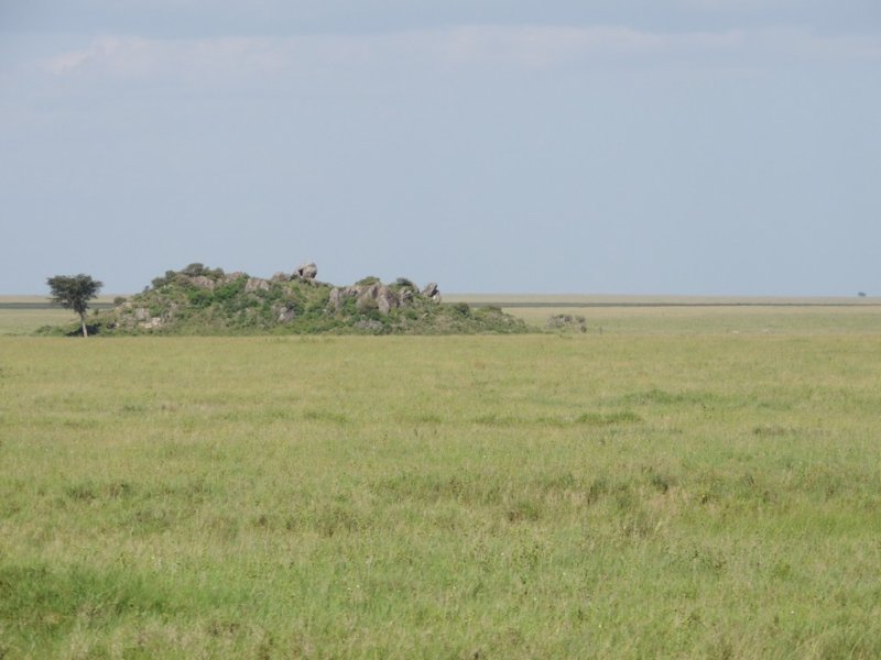 dscn4296.jpg