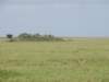 dscn4296_small.jpg