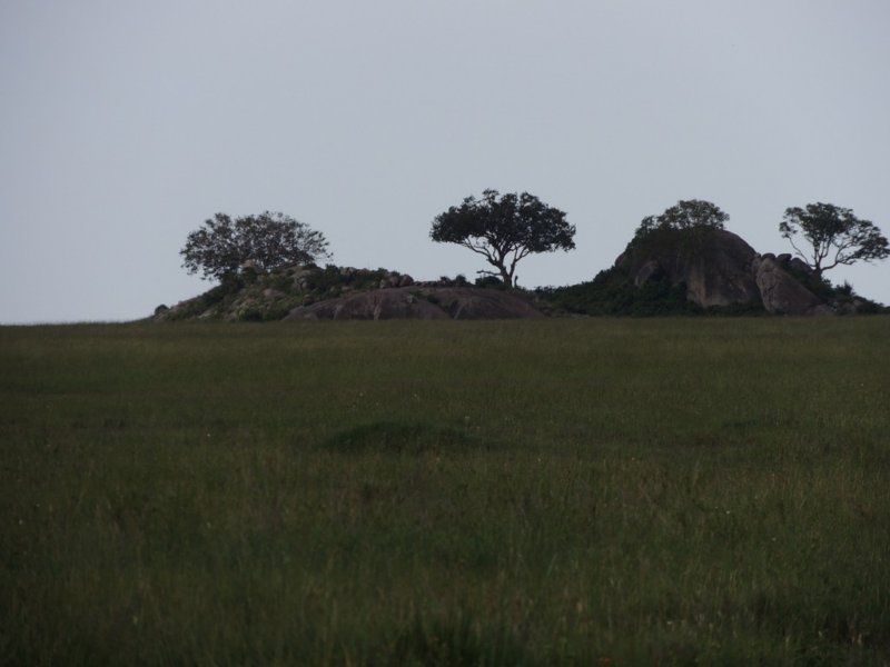 dscn4307.jpg