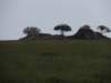 dscn4307_small.jpg