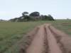 dscn4311_small.jpg