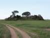dscn4313_small.jpg
