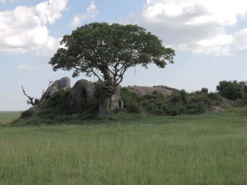 dscn4316.jpg