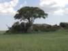 dscn4316_small.jpg