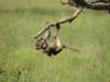 dscn4352_small.jpg