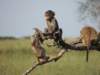 dscn4356_small.jpg