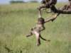 dscn4359_small.jpg
