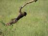 dscn4364_small.jpg