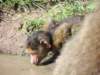 dscn4366_small.jpg