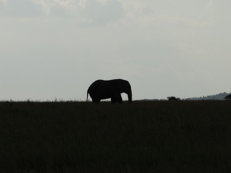 dscn4384.jpg