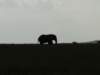 dscn4384_small.jpg