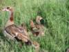 dscn4397_small.jpg