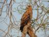dscn4417_small.jpg