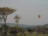 dscn4428_small.jpg
