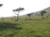 dscn4430_small.jpg