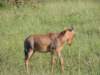 dscn4432_small.jpg