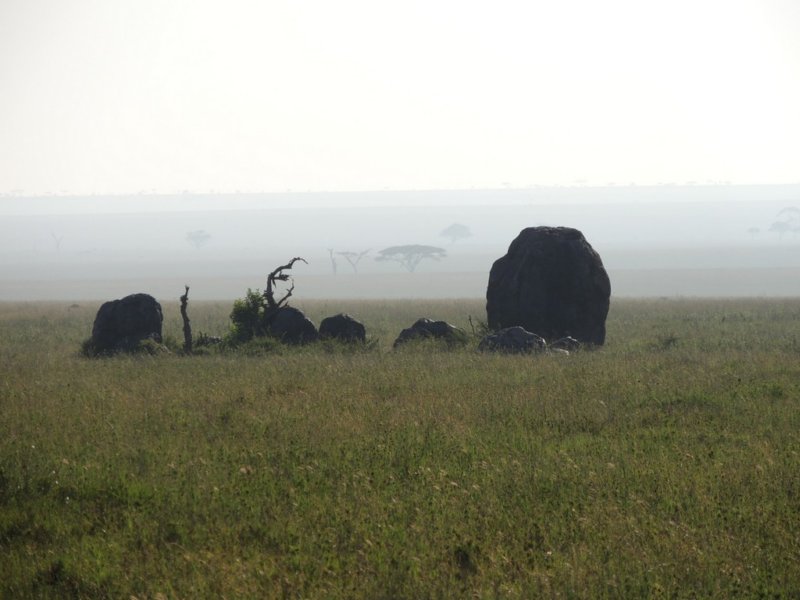 dscn4446.jpg