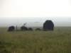 dscn4446_small.jpg
