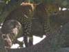 dscn4456_small.jpg