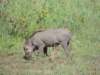dscn4478_small.jpg