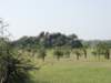 dscn4493_small.jpg