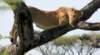 dscn4503_small.jpg
