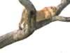 dscn4506_small.jpg