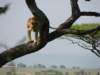 dscn4539_small.jpg