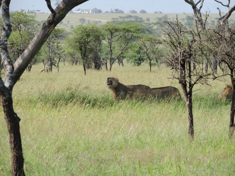dscn4543.jpg