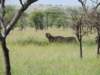 dscn4543_small.jpg