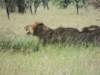 dscn4545_small.jpg
