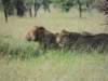 dscn4546_small.jpg