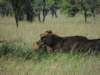 dscn4547_small.jpg