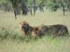 dscn4550_small.jpg